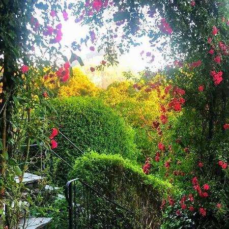 볼프강제 아파트먼트 아파트 *