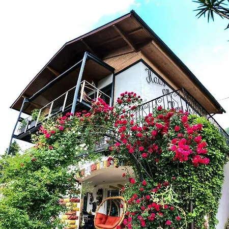 볼프강제 아파트먼트 아파트 *